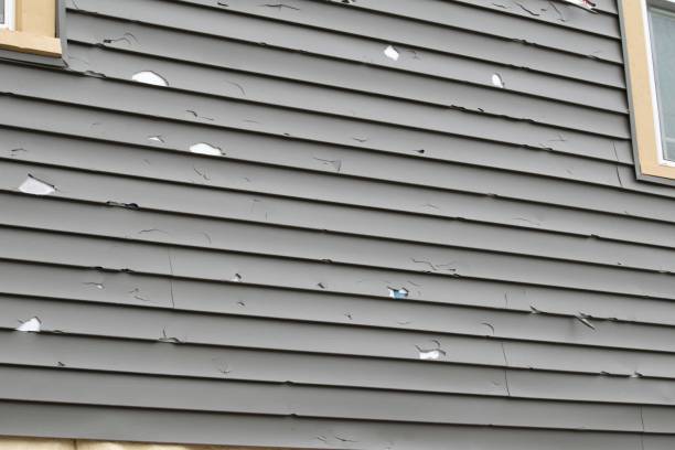 Best Engineered Wood Siding  in New Providence, NJ