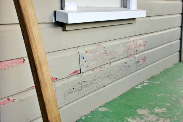 Best Stone Veneer Siding  in New Providence, NJ