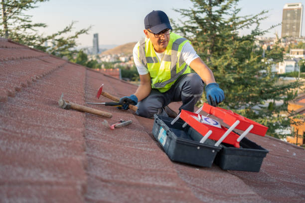 Best Custom Siding Design  in New Providence, NJ